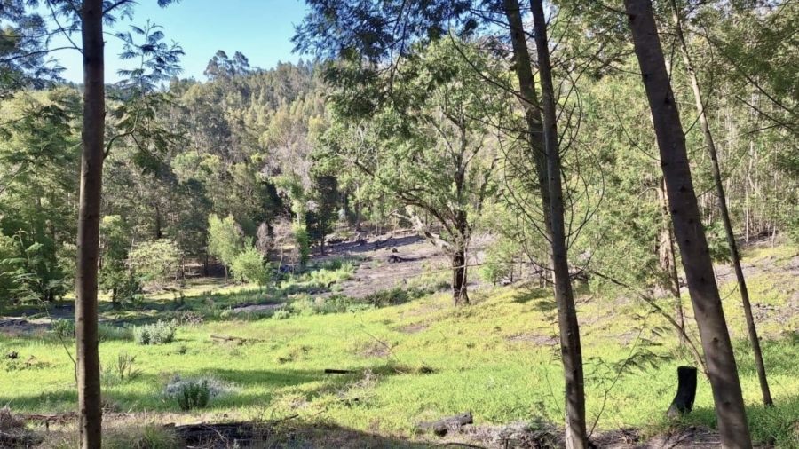 0 Bedroom Property for Sale in Knysna Rural Western Cape